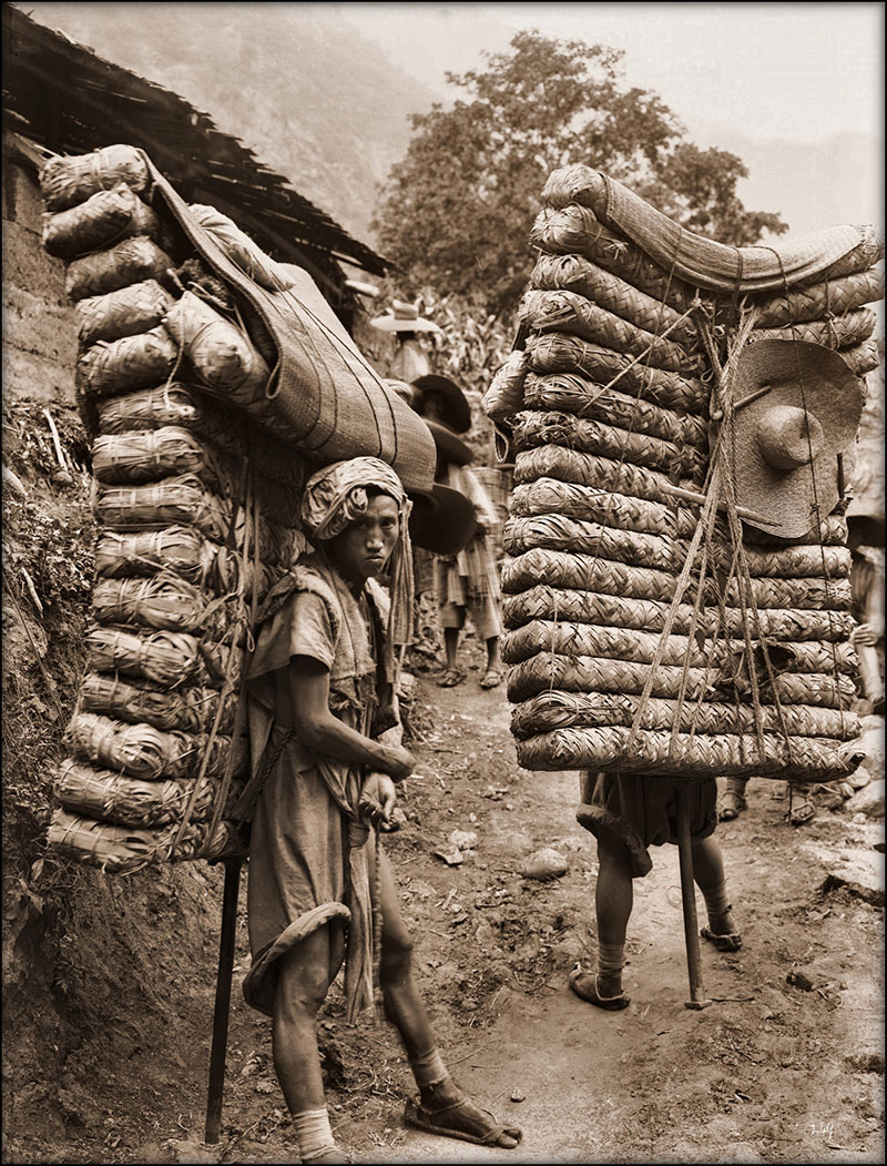 Hombres cargados con té en la provincia de Sichuan (1908). Foto: Ernest Henry Wilson. CC BY 2.0, Wikimedia commmons.