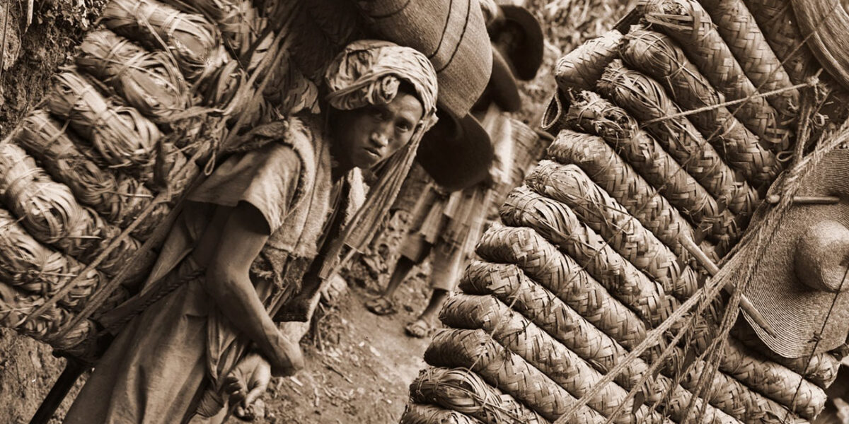 Fragmento de «Hombres cargados con té en la provincia de Sichuan» (1908). Foto: Ernest Henry Wilson. CC BY 2.0, Wikimedia commmons.