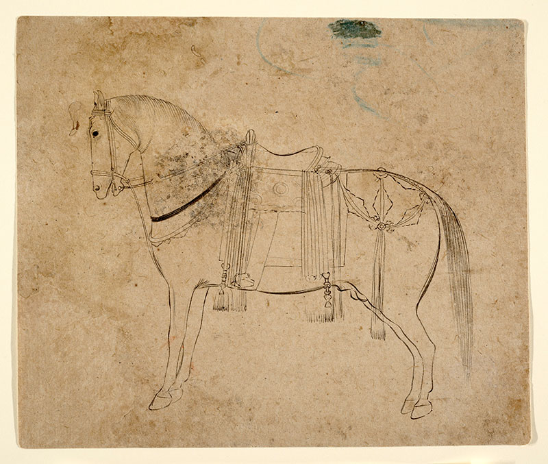 Boceto de un caballo. Siglo XVIII. India (Pahari Hills). Tinta sobre papel. Anónimo. MET. Dominio público.