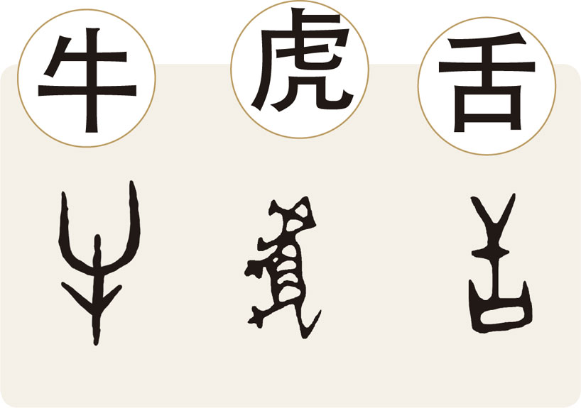 El radical. 牛 El carácter 虎 (hǔ). La forma antigua del carácter 舌 (shé). Principios de formación de los caracteres chinos
