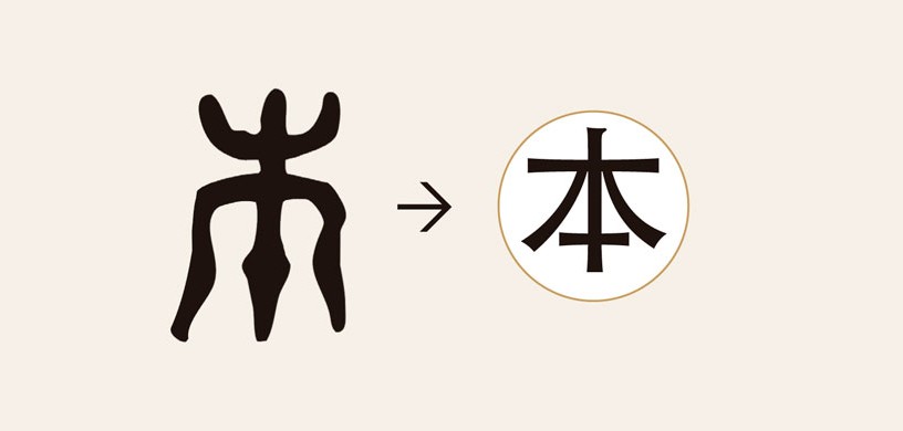 Formación de caracteres a través del radical de árbol (木). Shuowen ...