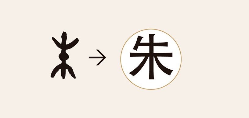 Formación de caracteres a través del radical de árbol (木). Shuowen ...
