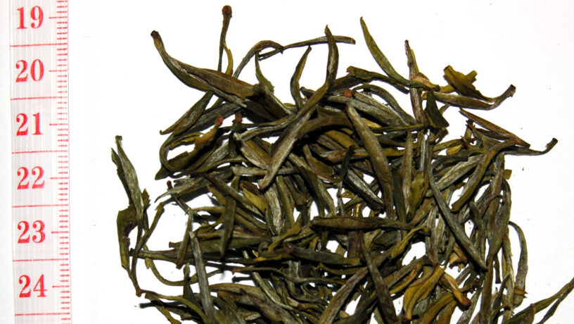 Té chino variedad Maofeng. Foto: 123RF.