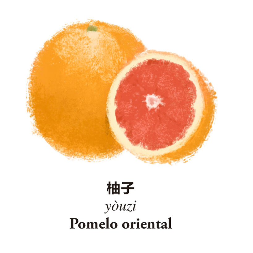 vocabulario chino: frutas y verduras