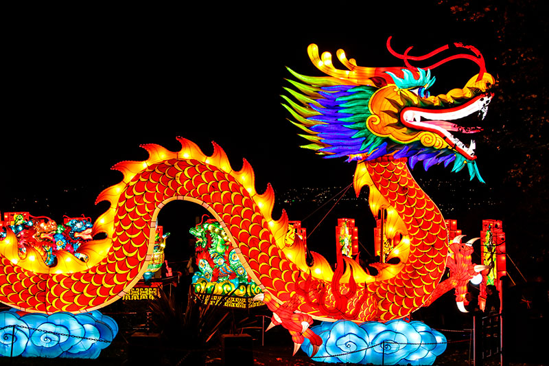 Dragón en China: maniquí luminoso de dragón. Foto: 123RF.