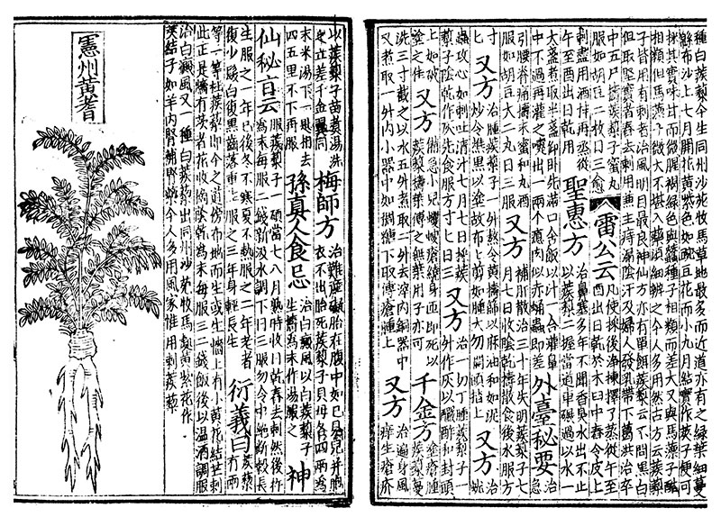 Inventos de la antigua China:  el Bencao fue un texto de medicina china tradicional que se imprimió por medio de sellos de madera. Foto: Wikipedia.