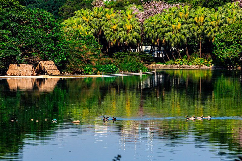 Lago en la ciudad de Guangzhou, en Guangdong. Foto: 123RF.