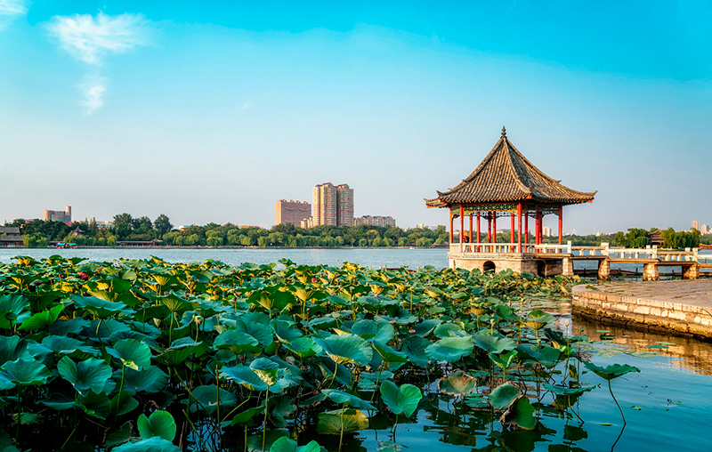 Vista del Lago Daming en Jinan, provincia de Shandong. Foto: 123RF.