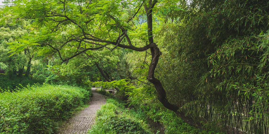 Sendero entre árboles en en los jardines de Lanting, alrededor del Pabellón de orquídeas, en Shaoxing, China. Foto: 123RF.