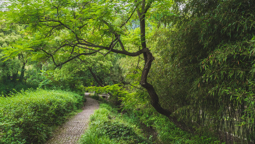 Sendero entre árboles en en los jardines de Lanting, alrededor del Pabellón de orquídeas, en Shaoxing, China. Foto: 123RF.
