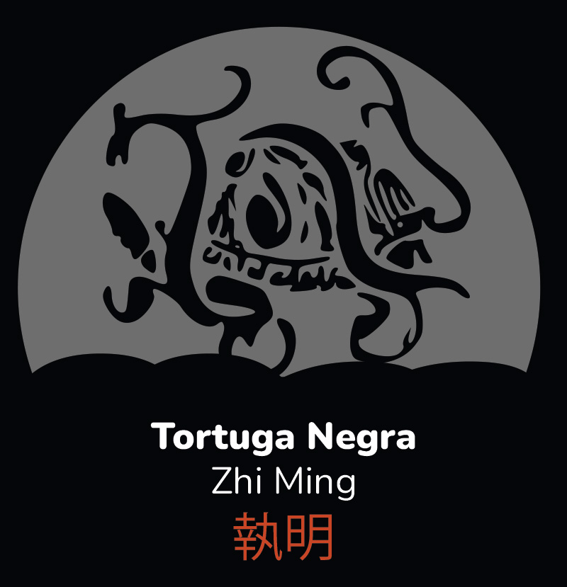Las cuatro bestias de la mitología china: Tortuga Negra. Ilustración: Javier Pérez.