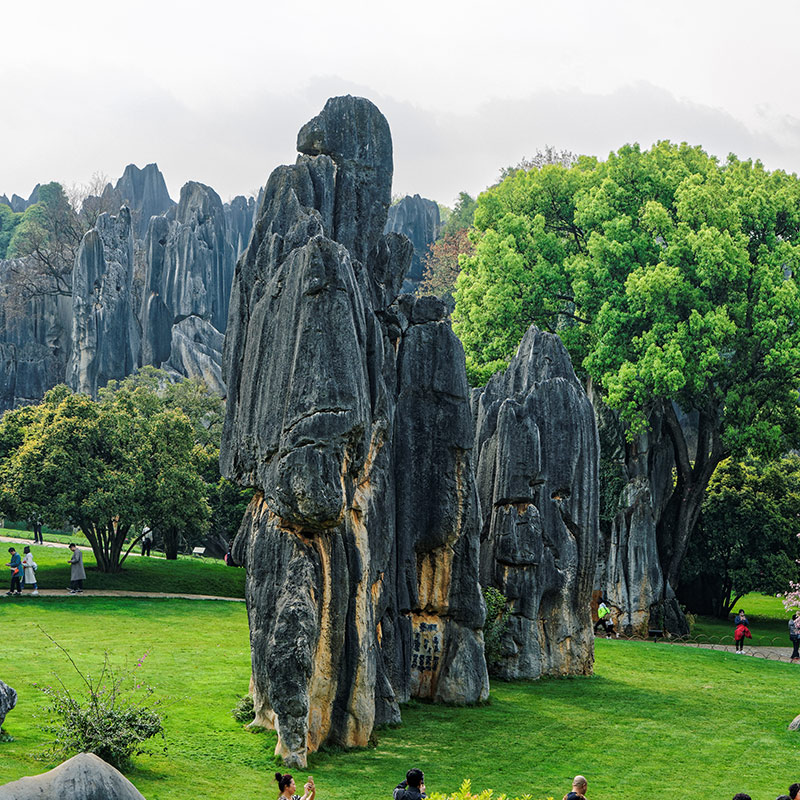 Vista de las agujas de piedra caliza en el Bosque de Piedra de Shilin, cerca de Kunming, en la provincia de Yunnan, China. La roca más famosa del lugar recibe el femenino nombre de Ashima (阿诗玛), pues presenta una figura vertical que recuerda a una muchacha sani ataviada a la usanza de su etnia.