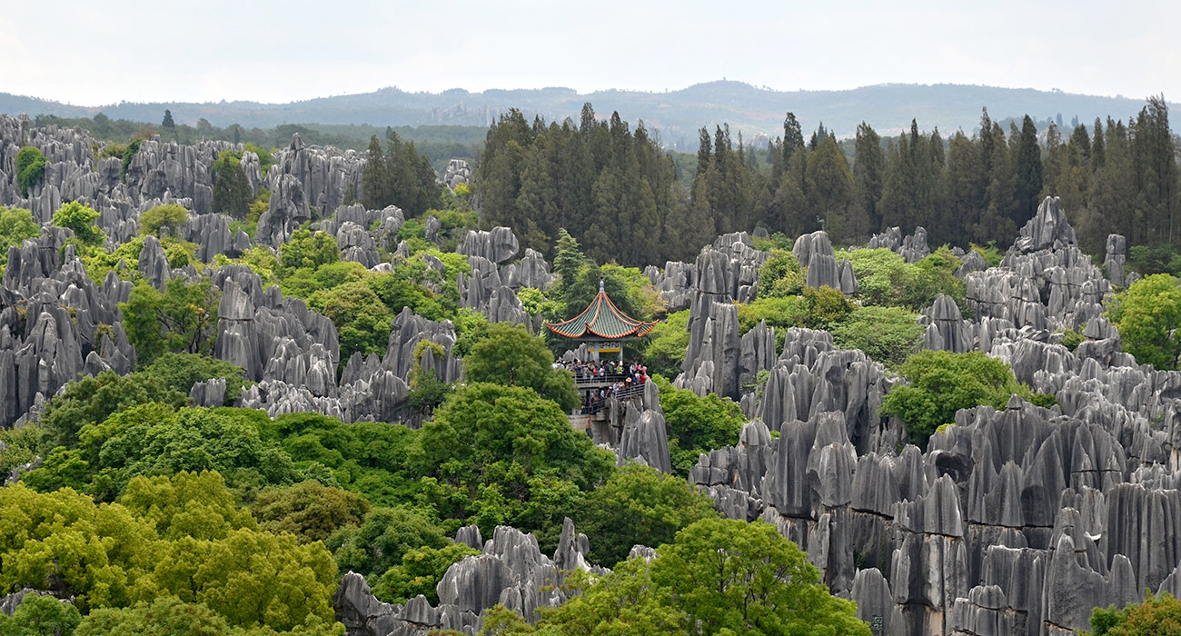 Las agujas de piedra caliza en el Bosque de Piedra de Shilin, cerca de Kunming, en la provincia de Yunnan, China, pueden alcanzar hasta 30 metros de altura. Foto: Pavel Špindler, CC BY 3.0. Wikimedia para «Shilin Stone Forest».