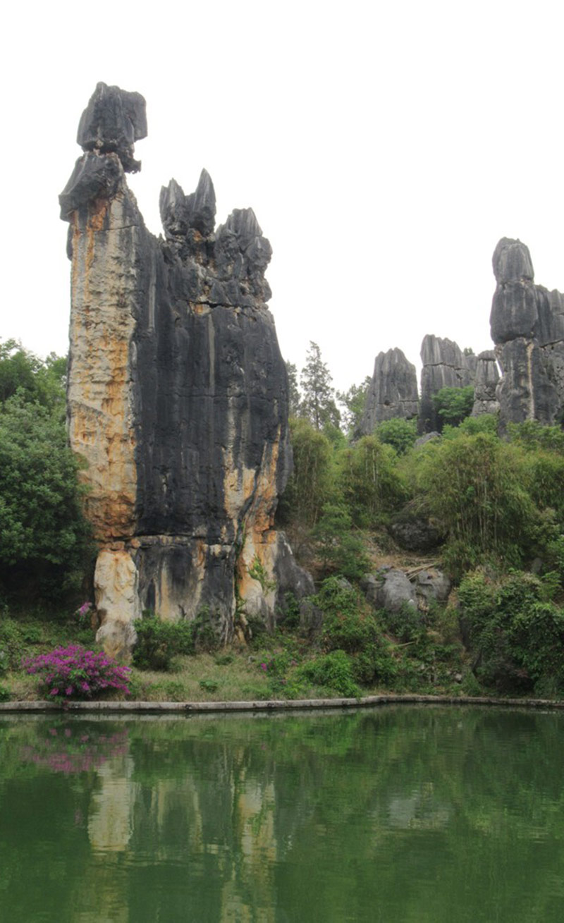 Aguja de piedra llamada «Ashima». Es una de las atracciones del parque. La leyenda dice que se trata de una joven de la etnia Sani llamada Ashima, que fue petrificada y que espera viendo en la distancia a su amante Ahei. Foto: David Stanley, CC BY 2.0. Wikimedia para «Shilin Stone Forest».
