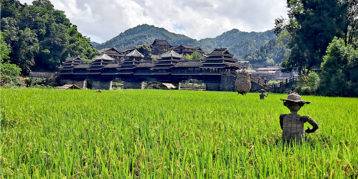 Puente de viento y lluvia de Chengyang, también llamado «Puente Yongji de Chengyang». Sus piezas están ensambladas sin un solo clavo. En el río Lixi, bajo el puente, crecen los cultivos de arroz y algodón de la etnia dong. Foto: EditQ, Wikimedia CC BY-SA 4.0,