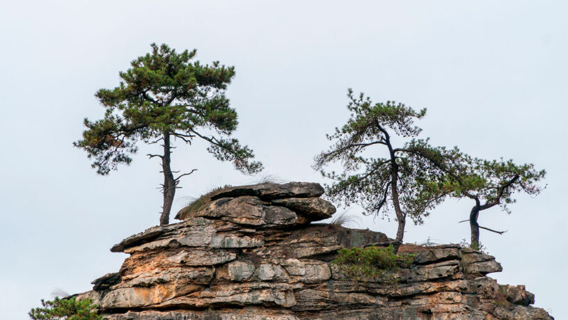 Zhangjiajie: el parque consta de más de 3.000 pilares de piedra arenisca de cuarzo y muchos de cuevas de karst. Foto: 123RF.