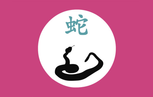 La serpiente en la cultura china es el Yin la serpiente lo es con el Yin (阴) principio femenino. Ilustración: Javier Pérez.