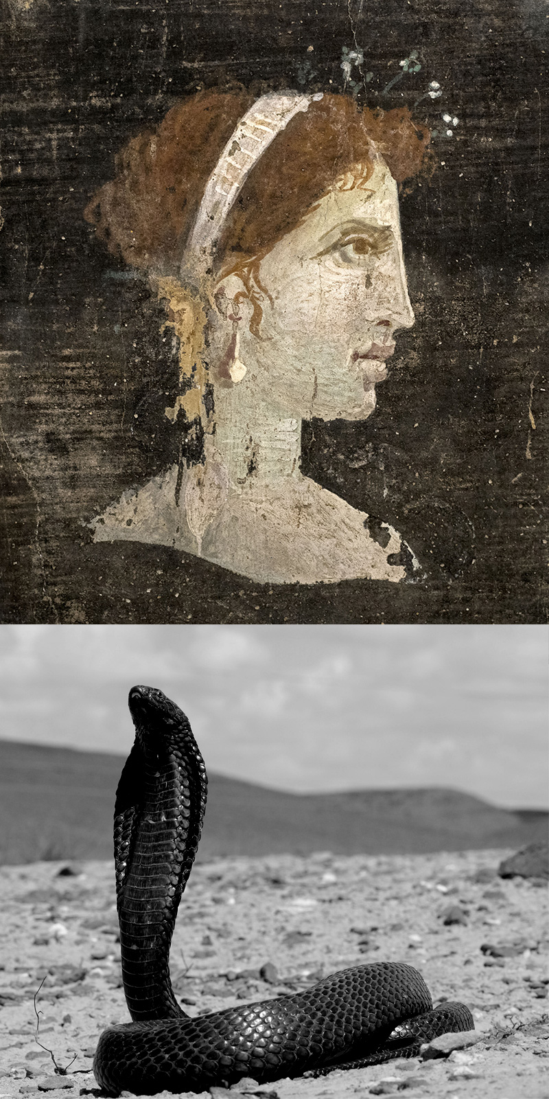 Cleopatra se suicidó hacíendose morder por una cobra. Arriba, mural contemporáneo donde se muestra a la mítica reina de Egipto, última gobernante de los Ptolomeos. Foto: Wikipedia y 123RF.