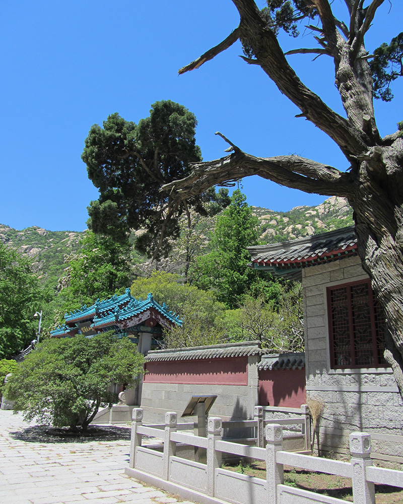 Templo Taiqing. Foto: Taijiqigong. Wikimedia commons, dominio público para «Taiqing Tempel Laoshan».