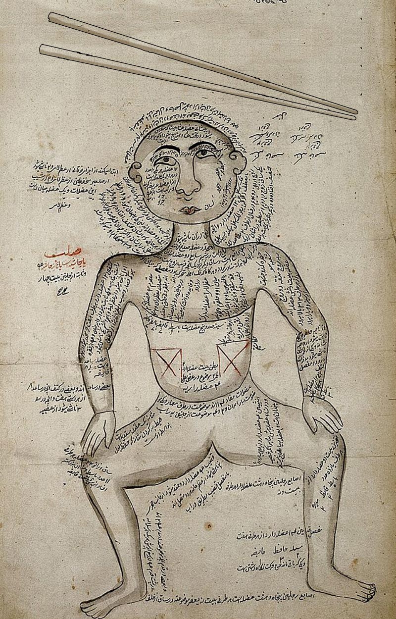 Ilustración persa del siglo XIX modificada con el dibujo de unos palillos chinos sobre ella. La imagen original procede de Wikimedia commons para «Muscles of the human body». CC BY 4.0.