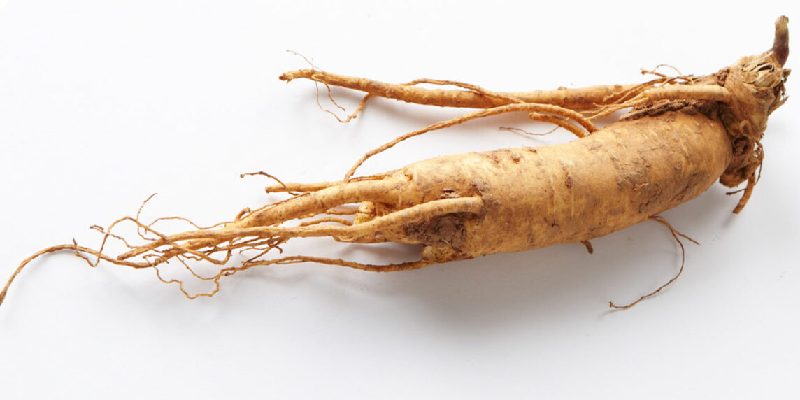 Raiz de ginseng chino. Foto: 국립국어원, CC BY-SA 2.0. Wikimedia para «Ginseng».