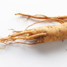 Raiz de ginseng chino. Foto: 국립국어원, CC BY-SA 2.0. Wikimedia para «Ginseng».