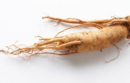 Raiz de ginseng chino. Foto: 국립국어원, CC BY-SA 2.0. Wikimedia para «Ginseng».