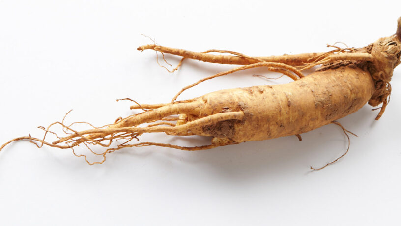 Raiz de ginseng chino. Foto: 국립국어원, CC BY-SA 2.0. Wikimedia para «Ginseng».
