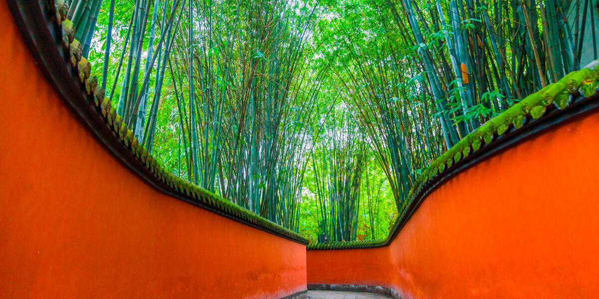 Sichuan: corredor rodeado de bambú en el templo Wuhoe en Chengdu. Foto: 123RF.