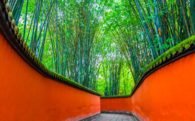 Sichuan: corredor rodeado de bambú en el templo Wuhoe en Chengdu. Foto: 123RF.