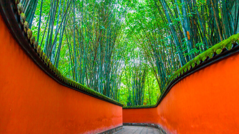 Sichuan: corredor rodeado de bambú en el templo Wuhoe en Chengdu. Foto: 123RF.