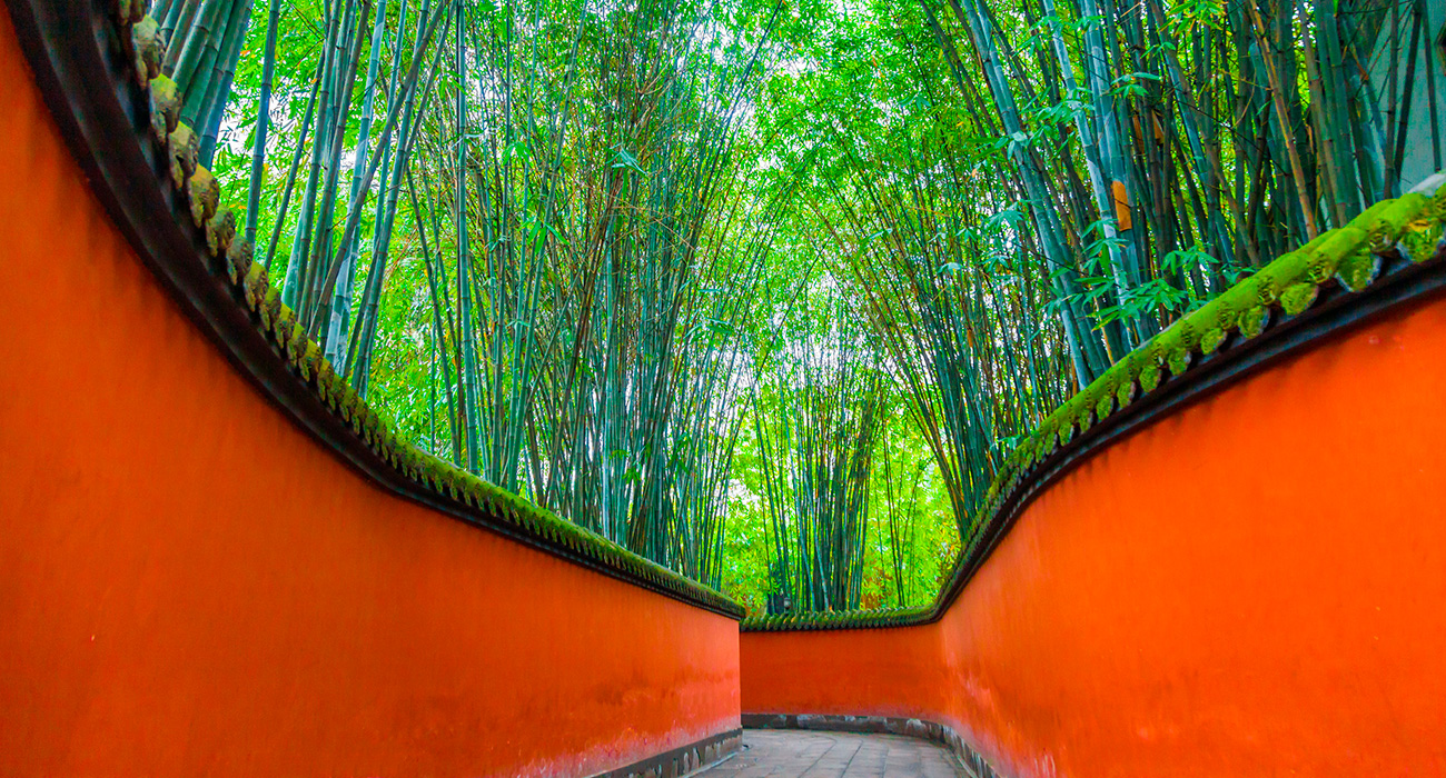 Sichuan: corredor rodeado de bambú en el templo Wuhoe en Chengdu. Foto: 123RF.