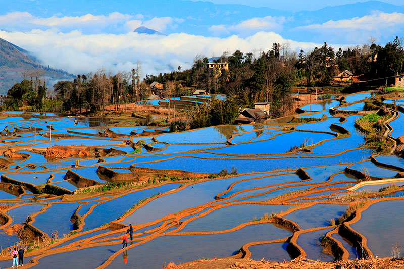 Terrazas de arroz de la minoría étnica china hani en Honghe. Provincia de Yunnan. En esta amplia zona se ubica el distrito de Yuanyang. Foto: 123RF.