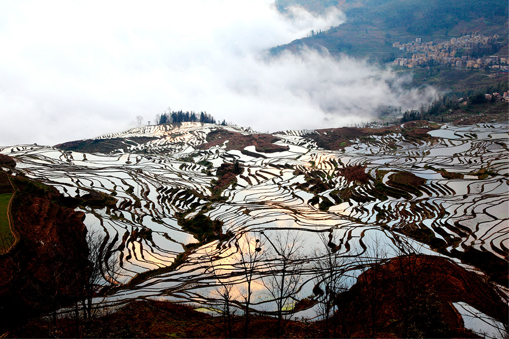 Terrazas de arroz de la minoría étnica china hani en Honghe. Foto: 123RF.