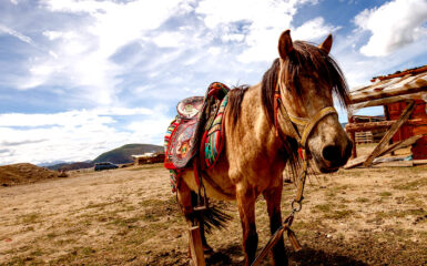 Un caballo en el poblado de Jiantang de la ciudad de Shangri-La. Foto: 123RF.