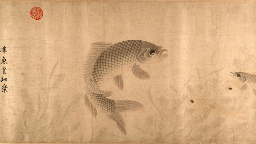 «Los placeres de los peces» de Zhou Dongqing, 1291. Dinastía Song. Imgen del MET Museum. Domino público.
